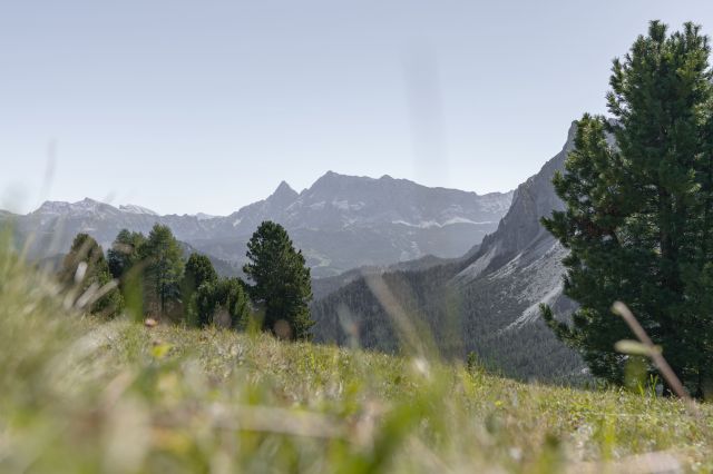 Immagine: Natura e sentieri a Longiarù in Val Badia